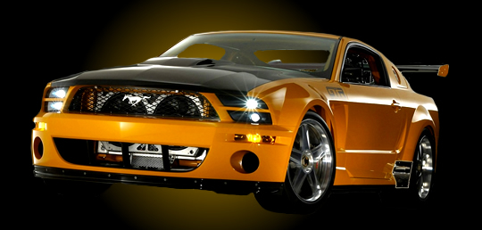 Slideshow Image 4